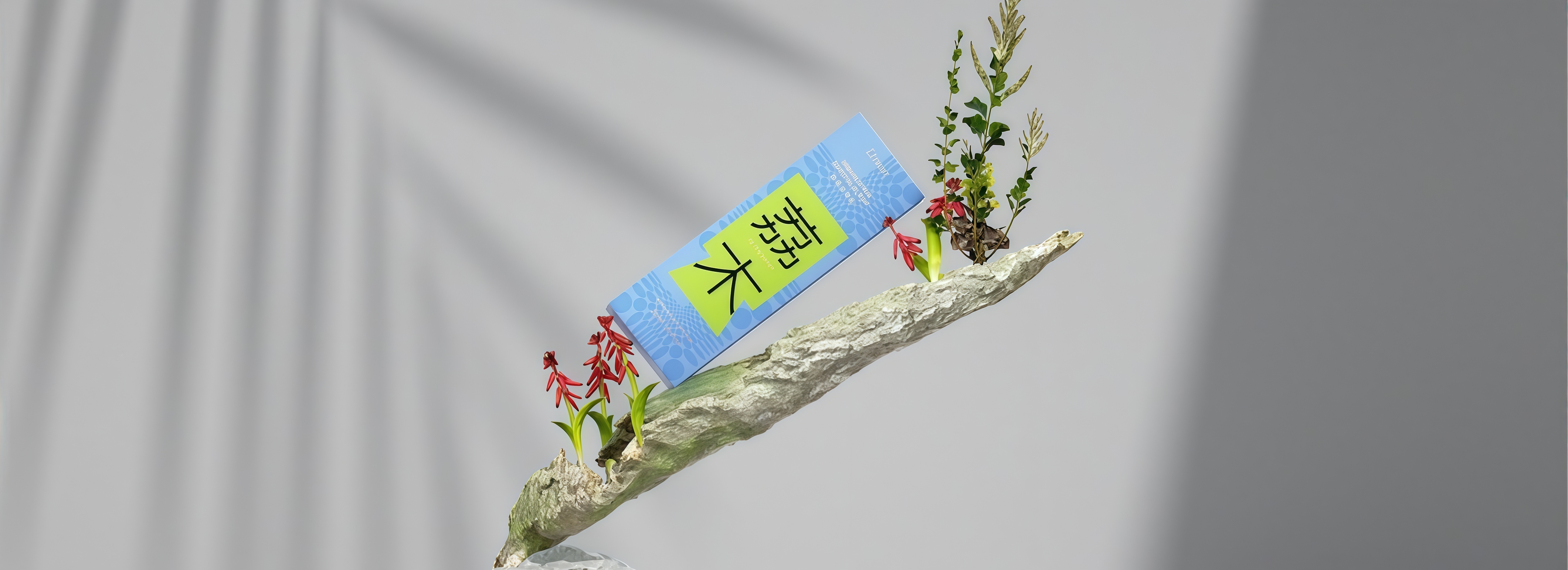 荔木 LIMM 护理品牌